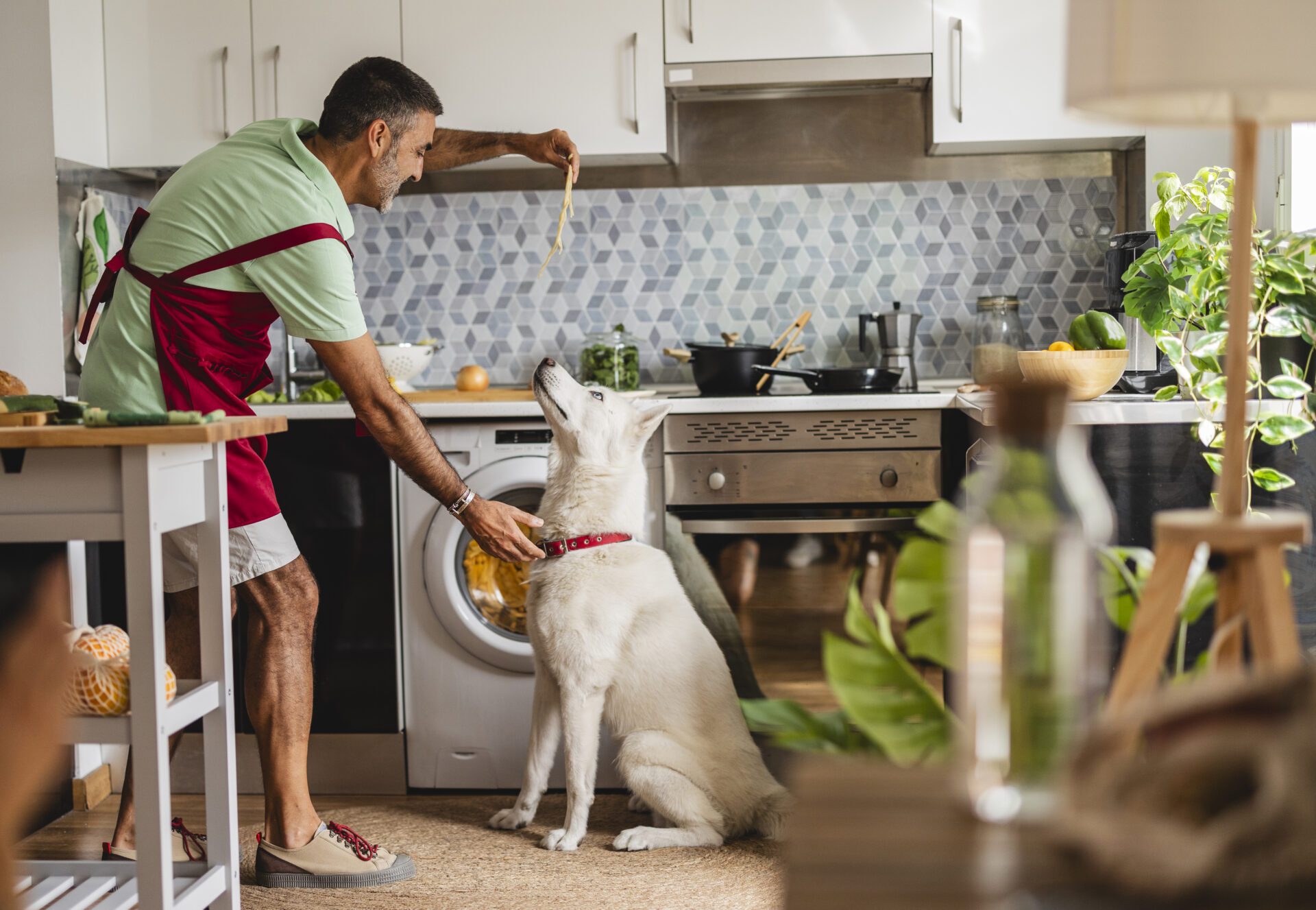 Hispanic mature man cooking with dog in kitchen feeds spaghetti Rezept Makler Osnabrück