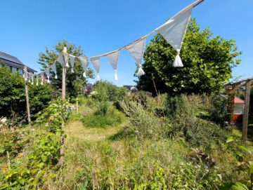Bild - Junges Wohnen: Freistehendes Einfamilienhaus Nähe Kanal