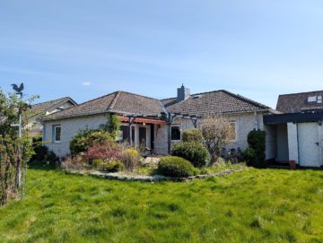 Bild - Alles auf einer Ebene: Bungalow in netter Nachbarschaft von Hasbergen