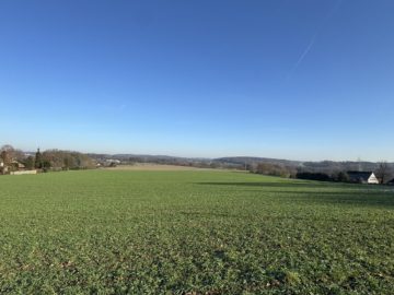 Unverbaute Feldrandlage - Großzügiges Wohnhaus mit ELW in bester Feldrandlage von Belm