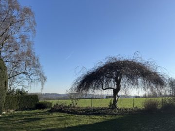 Wunderschöner Blick ins Grüne - Großzügiges Wohnhaus mit ELW in bester Feldrandlage von Belm
