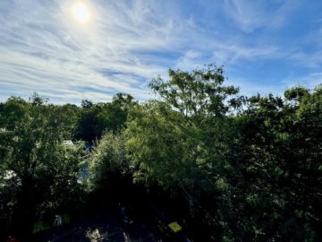 Balkon mit Blick ins Grüne bis zum Sonnenuntergang - Über den Dächern der Weststadt: 2-Zimmer-Wohnung in beliebter Stadtlage