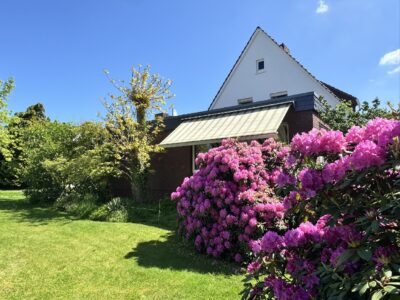 Wunderbarer, gewachsener Garten