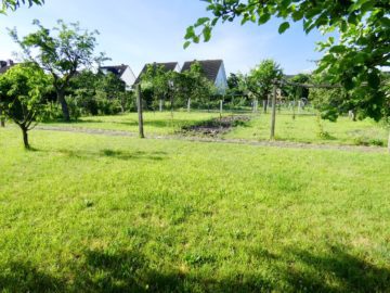 Lotte-Büren - Ein Haus mit großem Grundstück und vielen Möglichkeiten! - Großer Garten oder Bauplatz